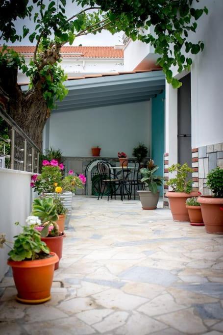 Spacious Apartment In The Heart Of Pythagorion Eksteriør bilde